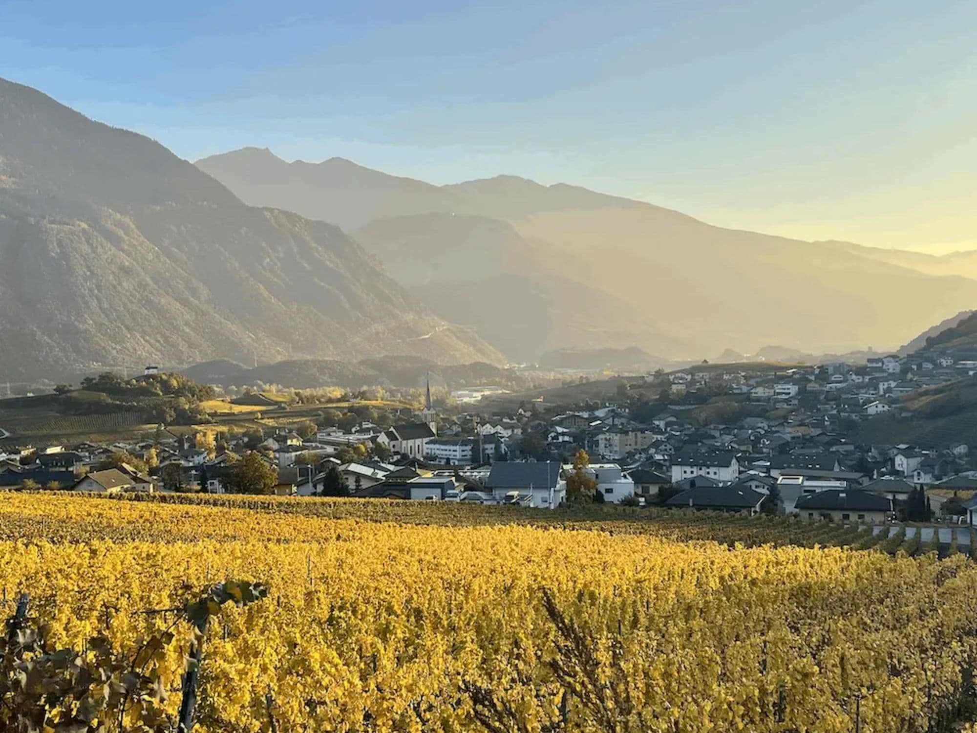 Wine hike in Salgesch