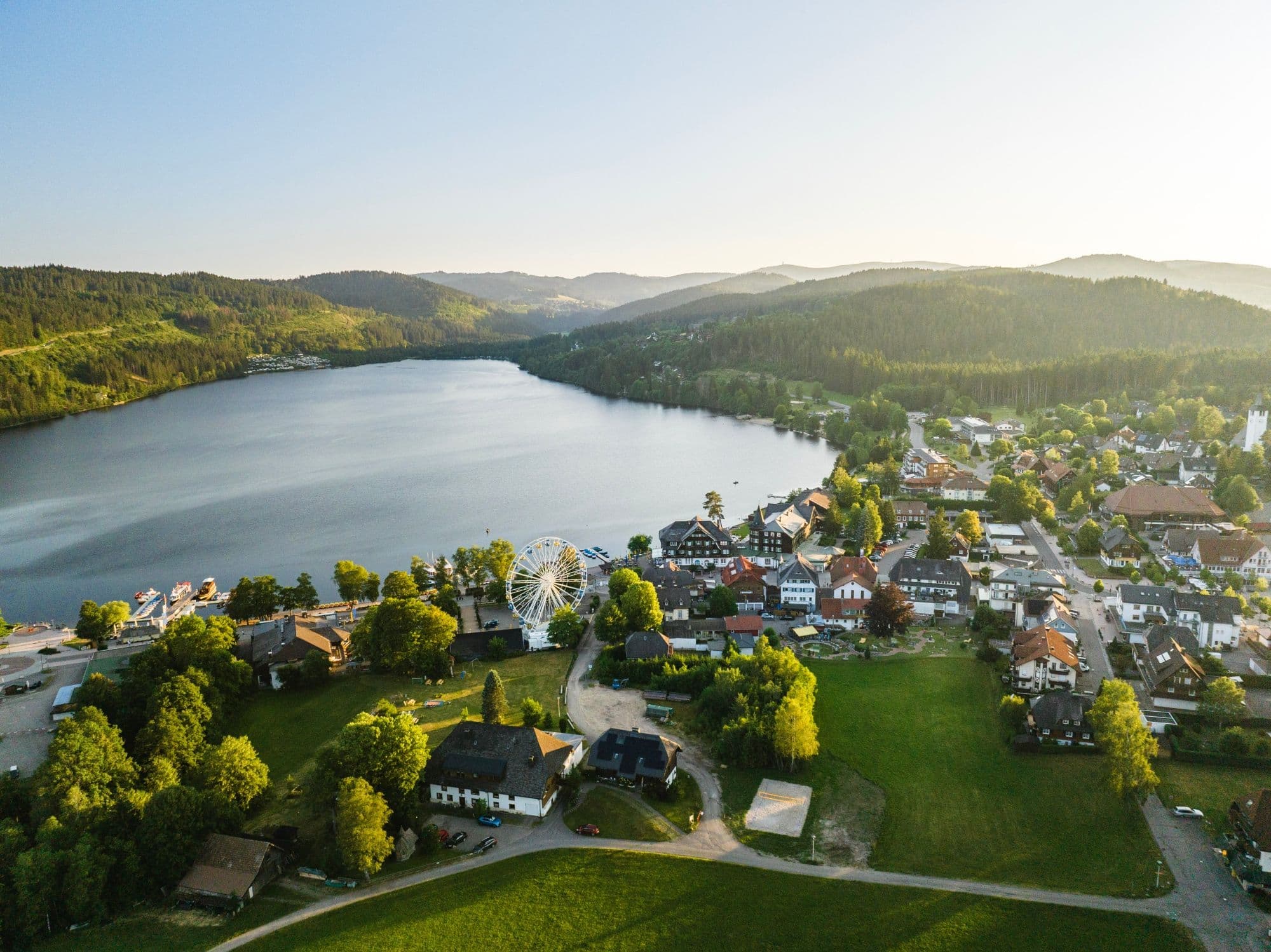 Bus trip from Basel: Culture and delight in the Black Forest