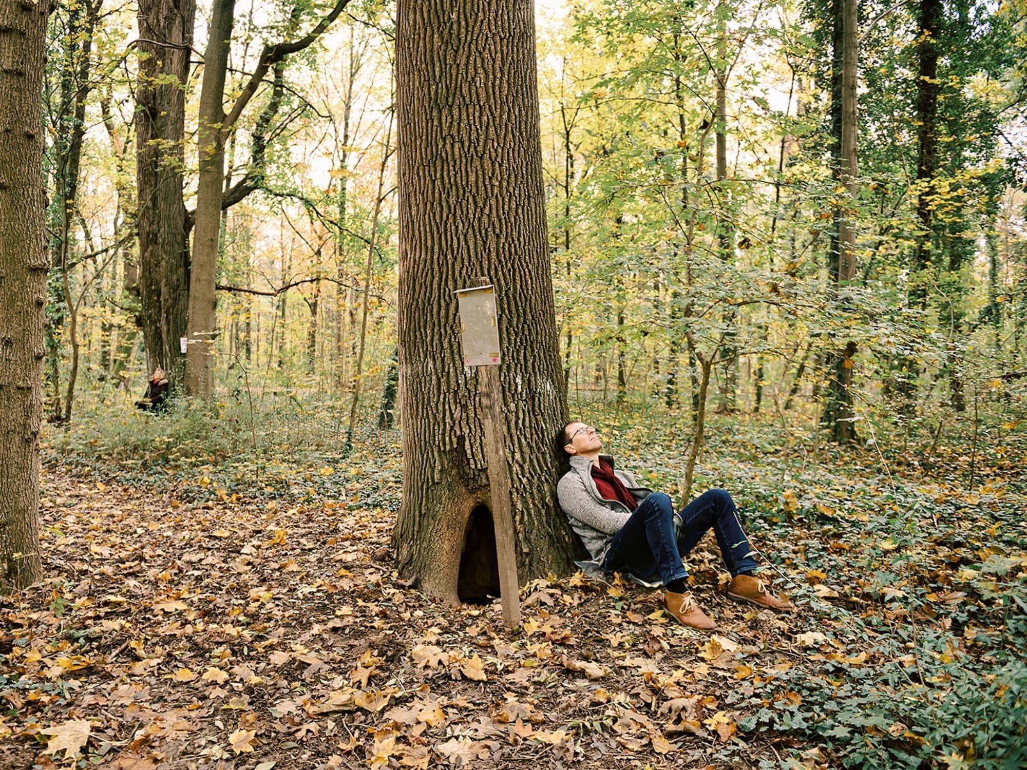 Forest Bathing (Shinrin Yoku) from Zug