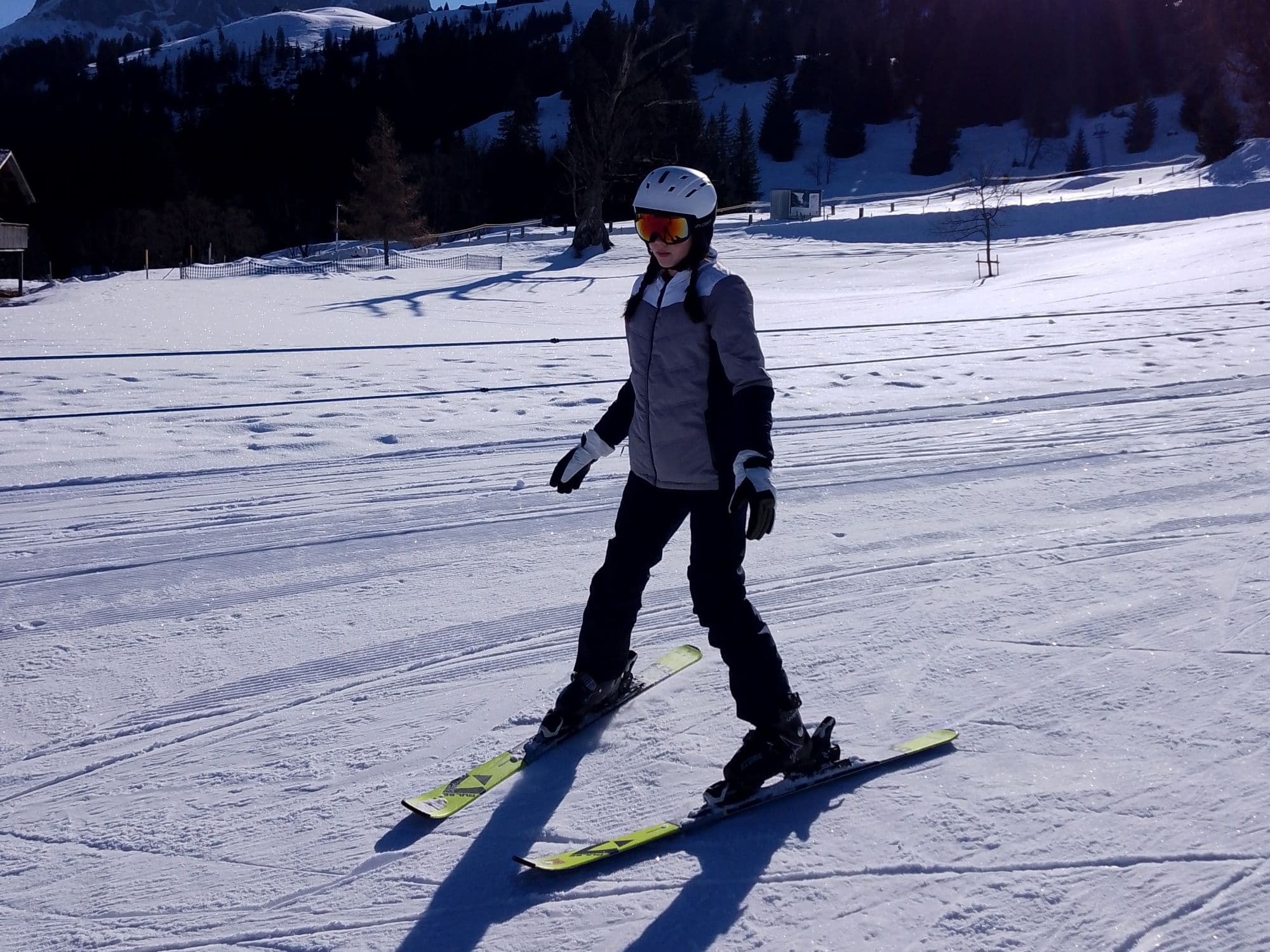 Private ski school in Adelboden-Lenk
