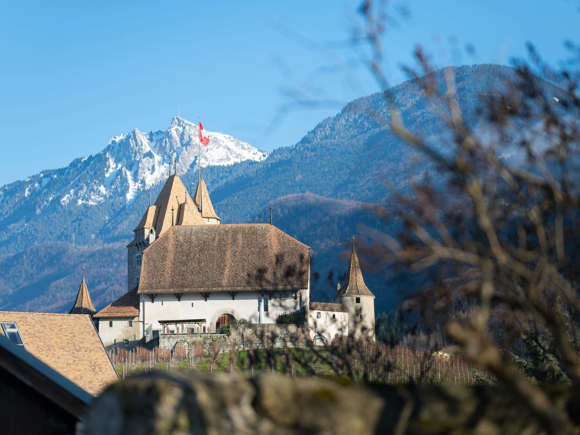 From Geneva Airport: Day trip to the salt mines and Château d'Aigle