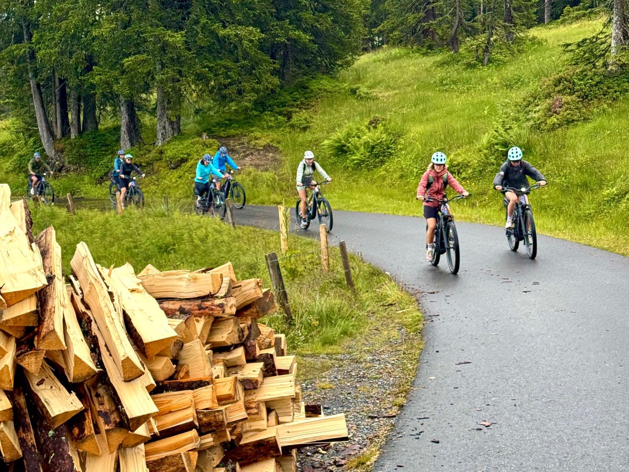 "Jungfrau Region and Cheese Tasting" - Private E-Bike Tour from Interlaken