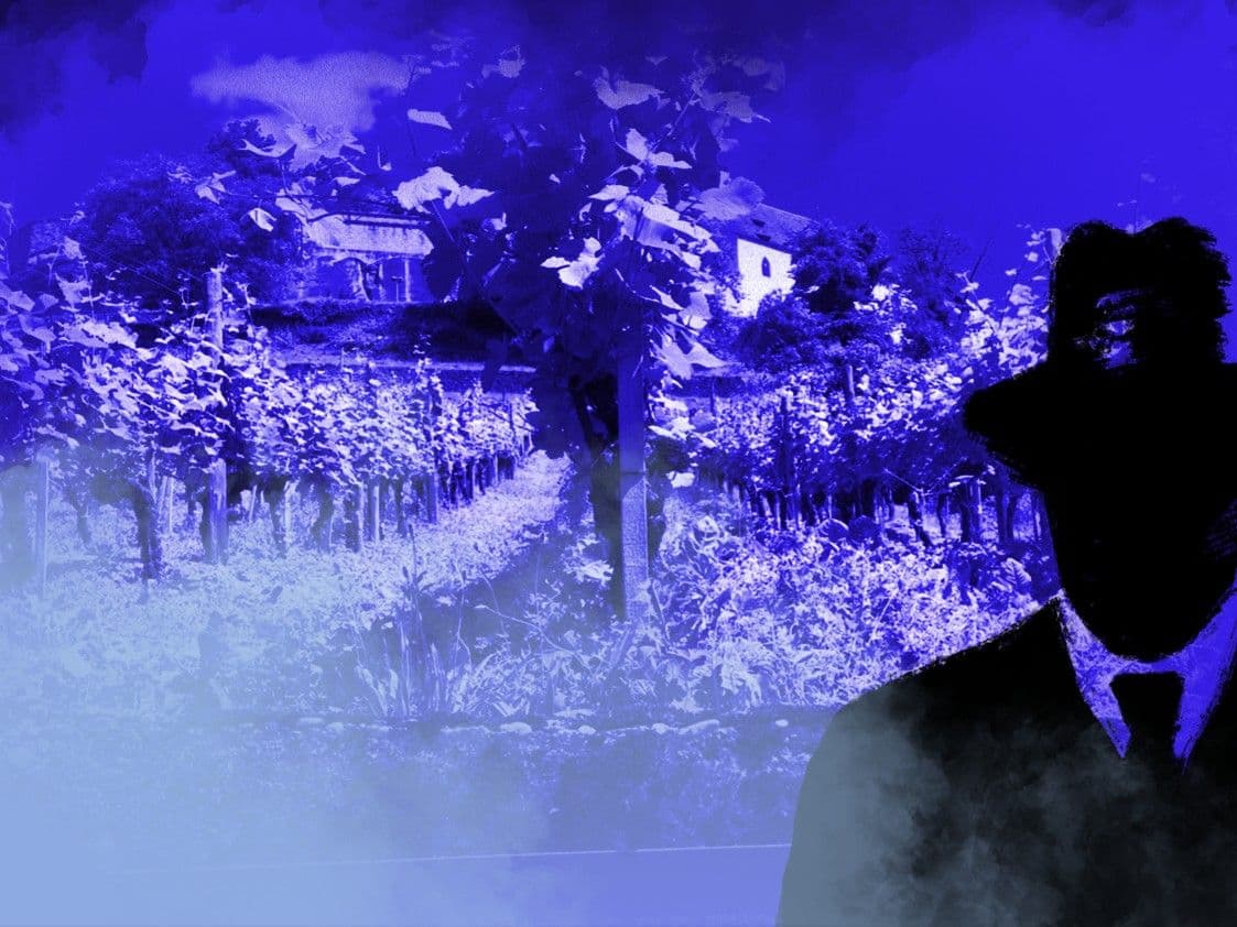 "Find-the-Code: Fluorescent Grasshoppers" Outdoor Escape Game Lenzburg