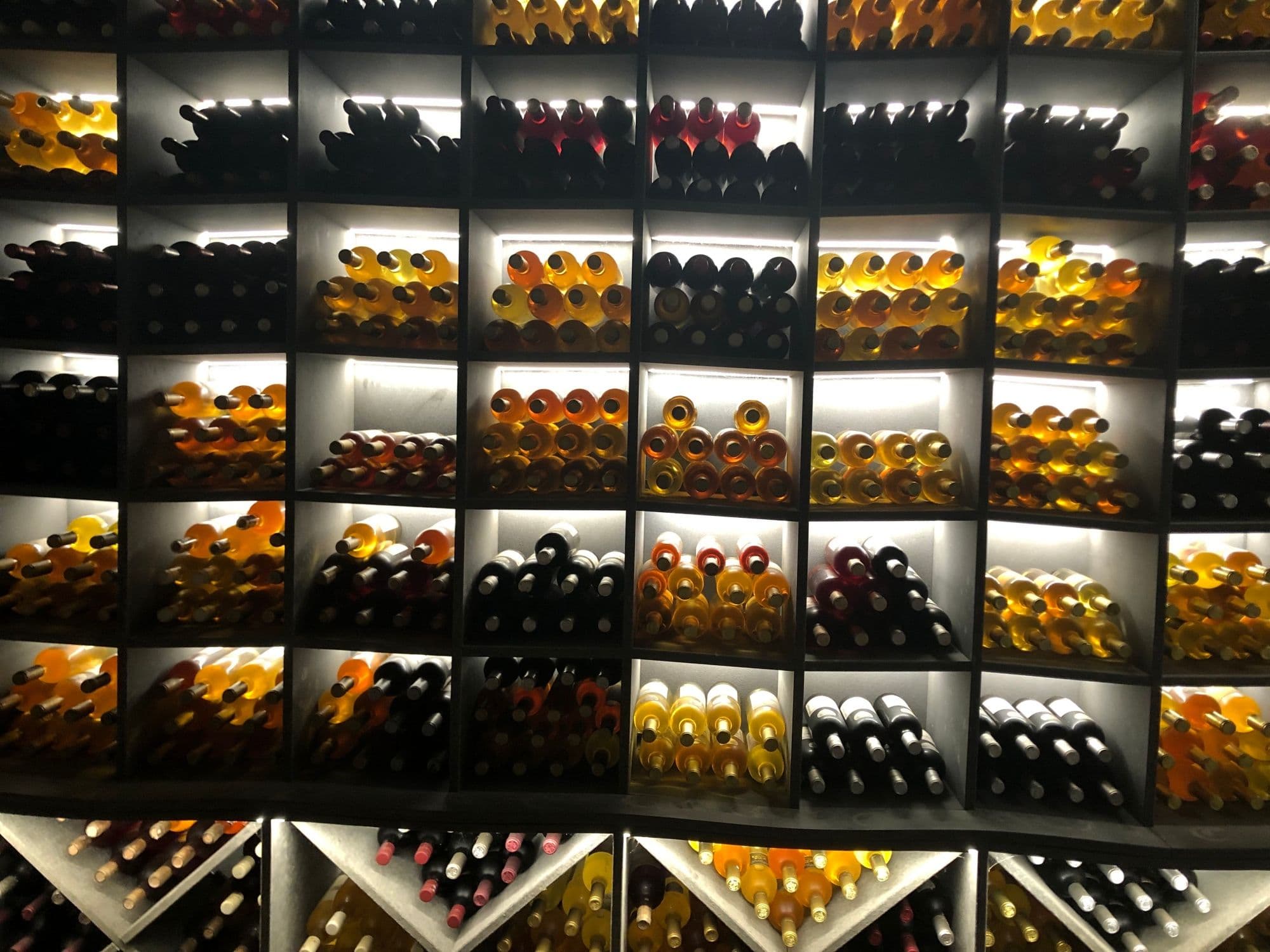 Geneva e-bike tour guided: Wine tour on Lake Geneva