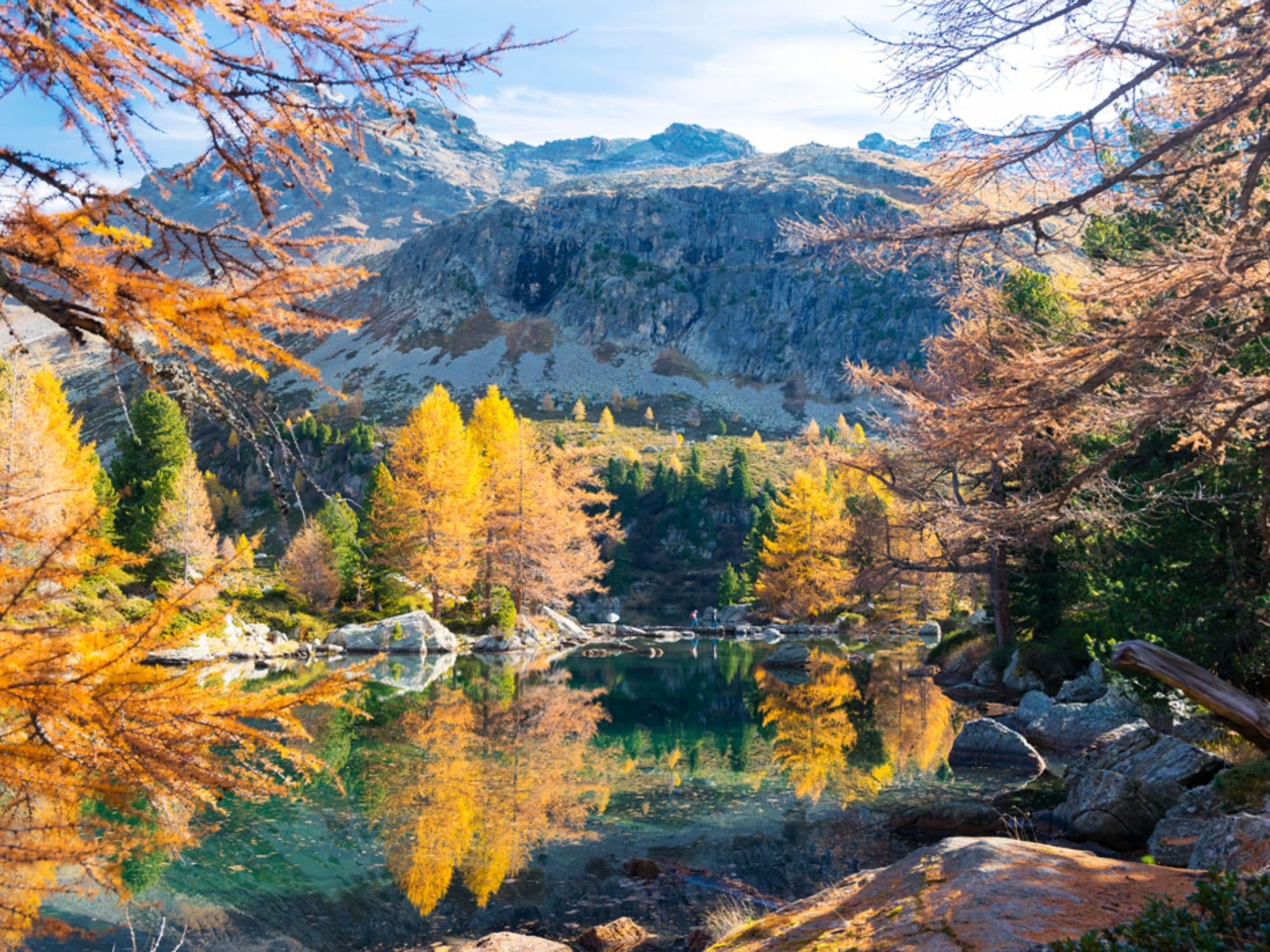 Private Course: Photographing Larch Magic in the Engadin
