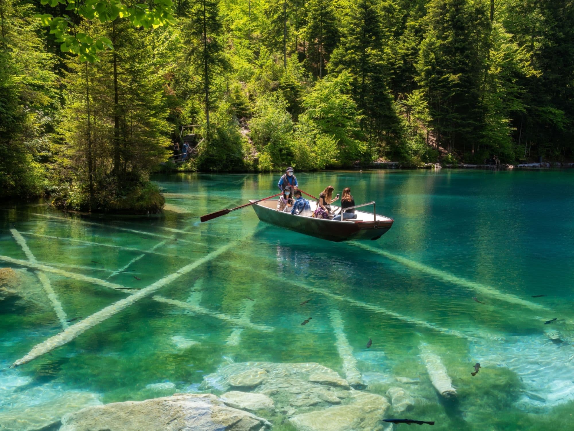 Zurich Day Trip to Blausee and Interlaken with Private Guide