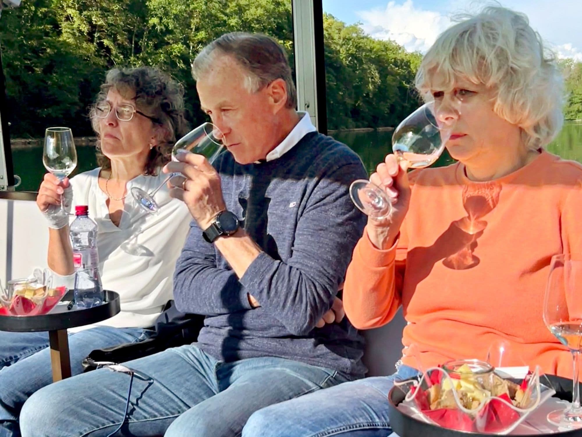 Rhine Falls Wine Cruise including Circular Tour
