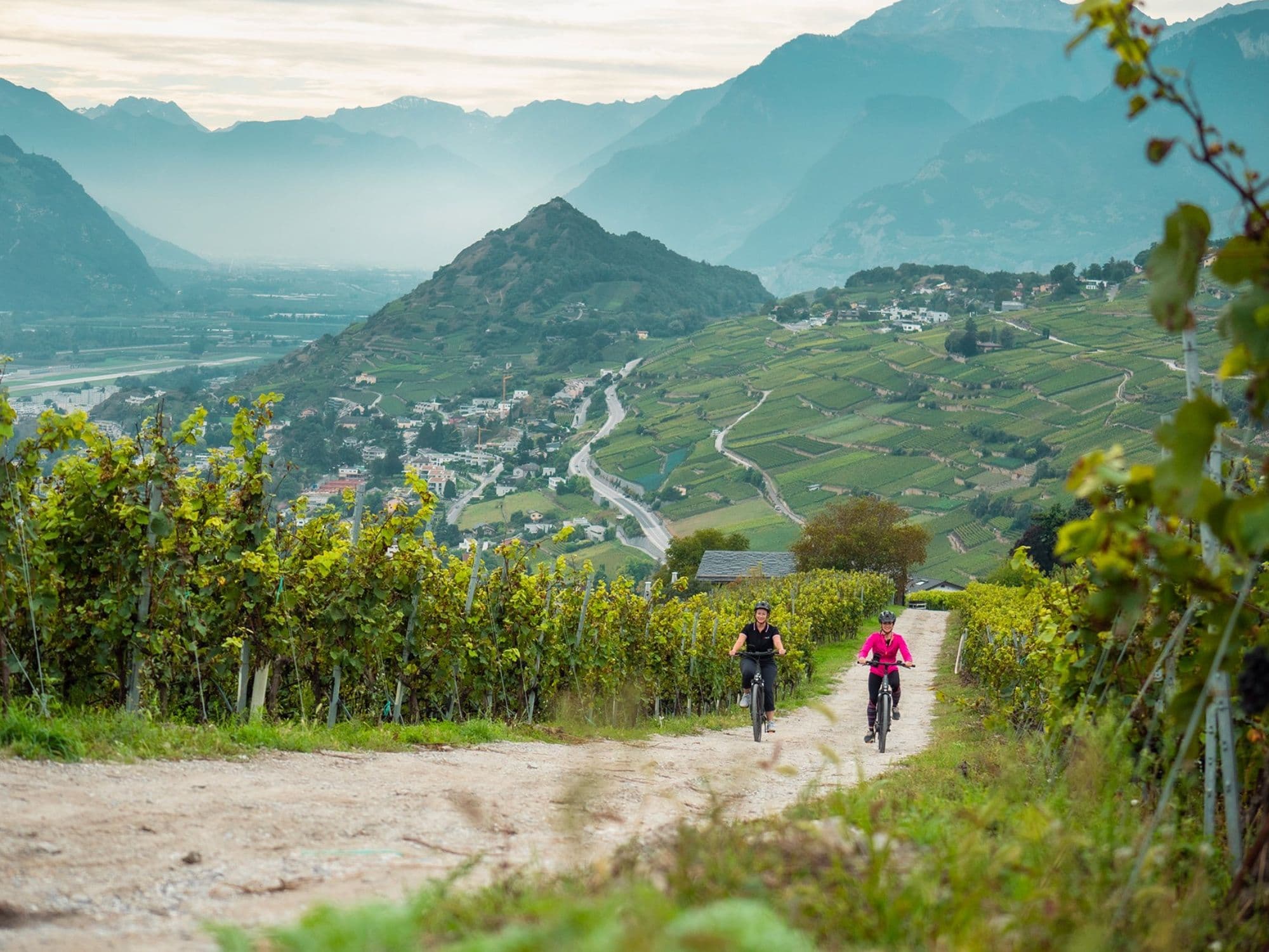 Self-guided e-bike tour through the vineyard with picnic from Sion