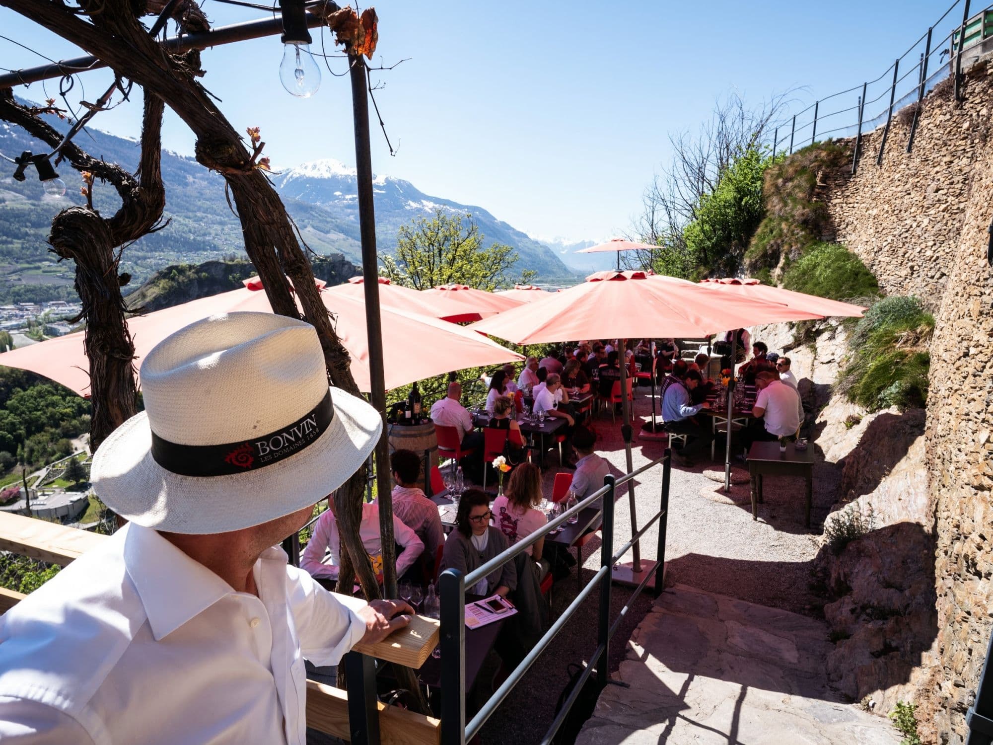 Self-guided e-bike tour through the vineyard including menu from Sion