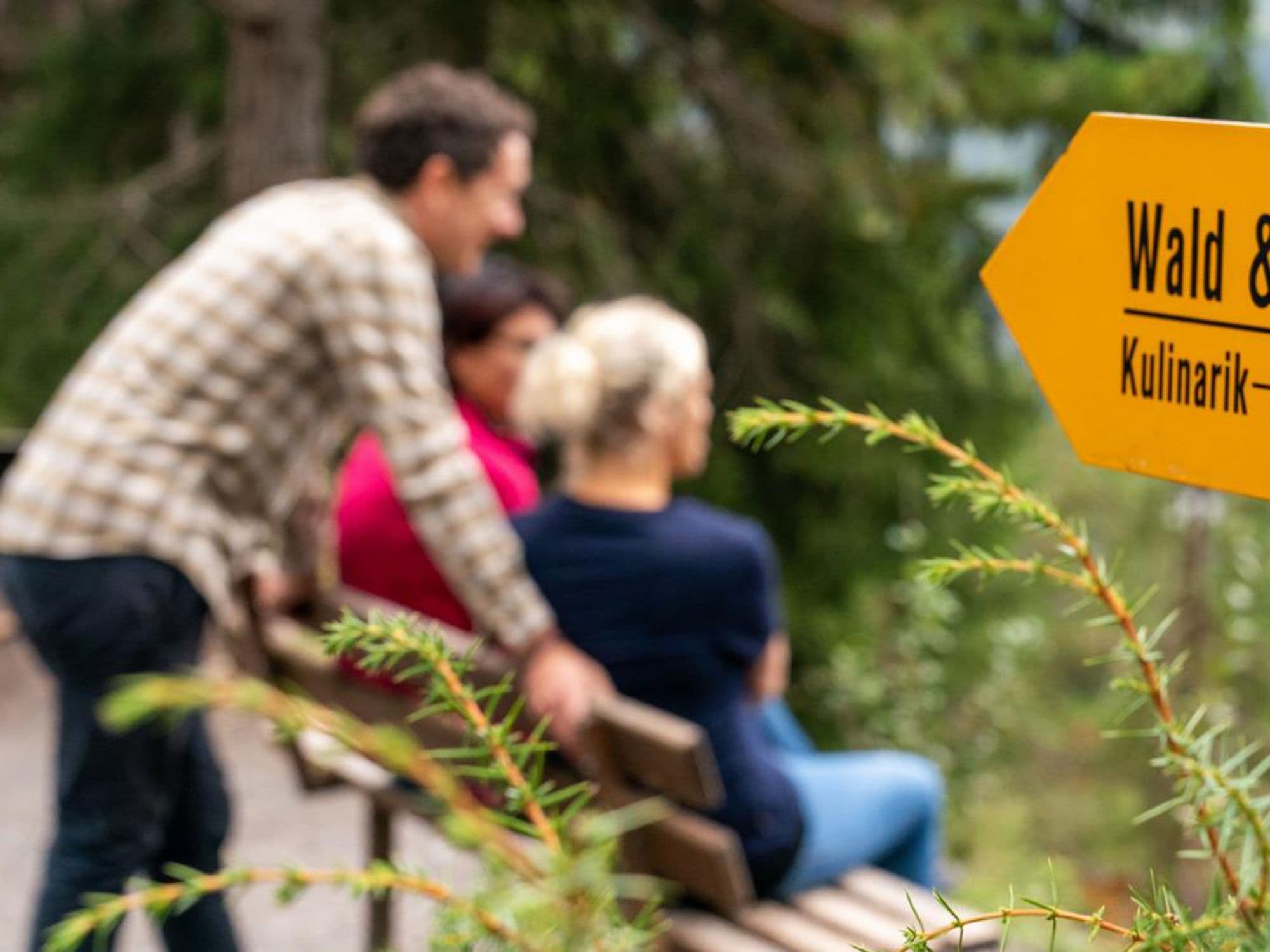 Culinary hike "Forest and Water" from Flims