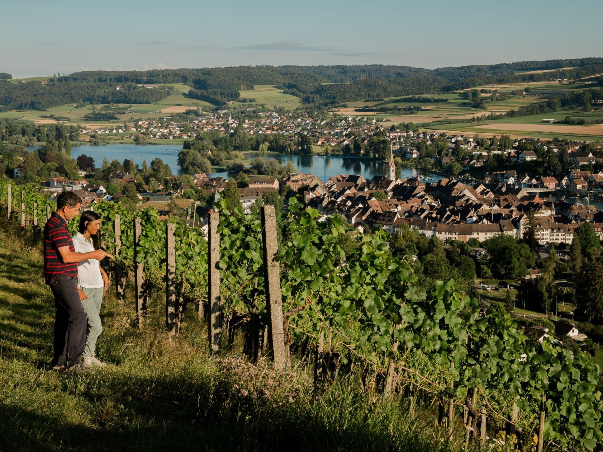 Private wine and chocolate tasting in Stein am Rhein