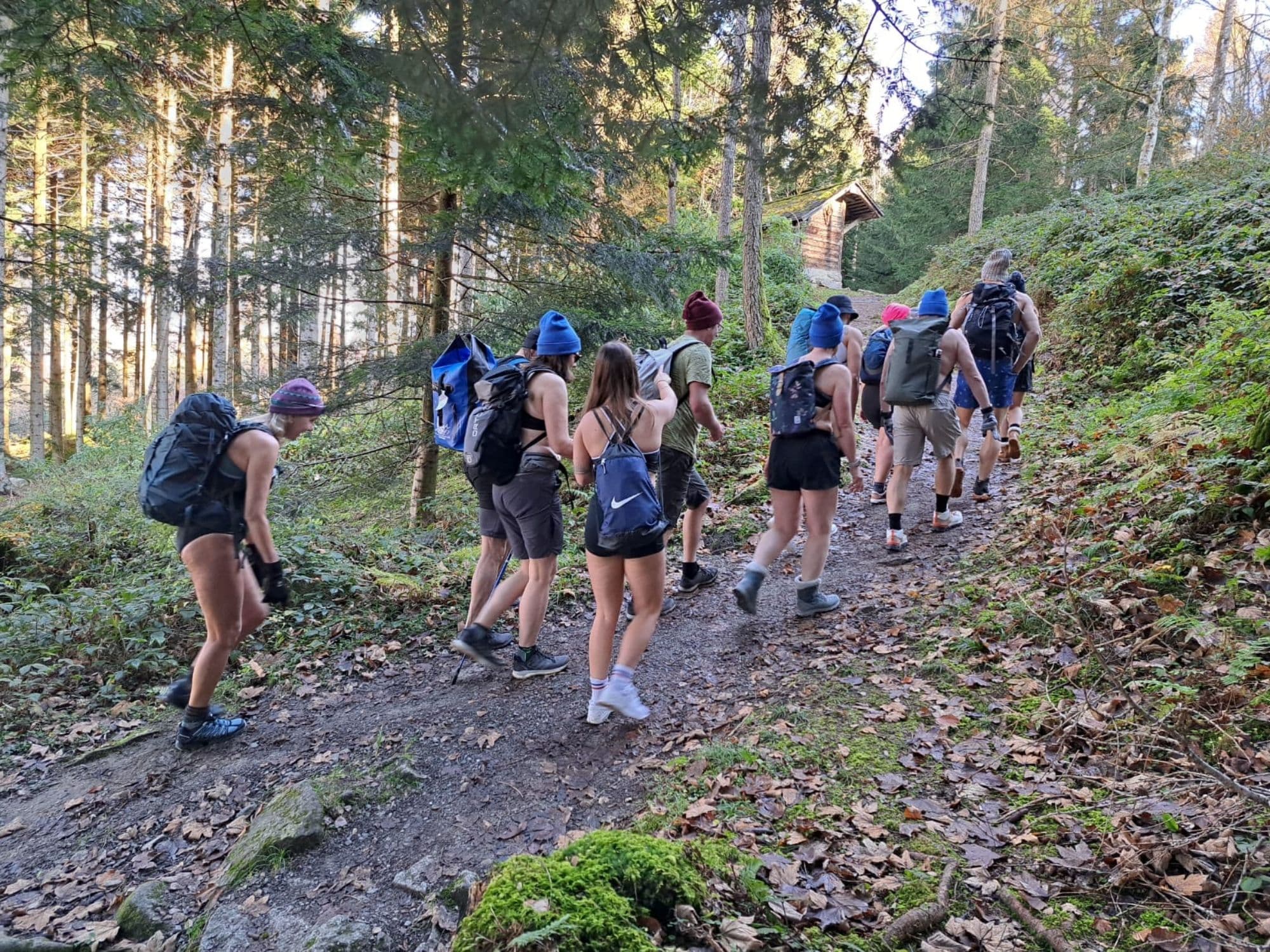 Cold hiking at Lake Lucerne guided