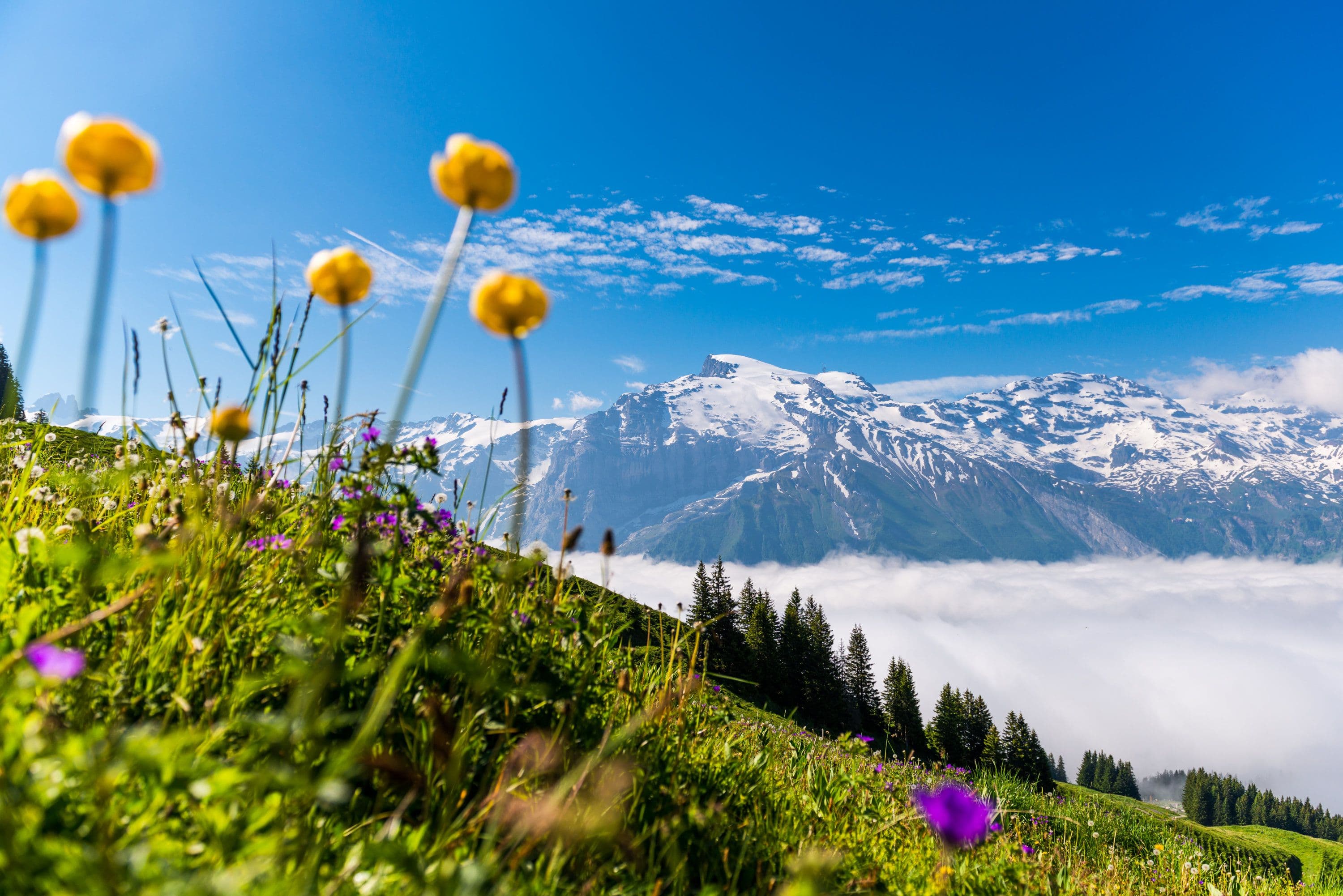 Guided hike along the Brunni panorama path