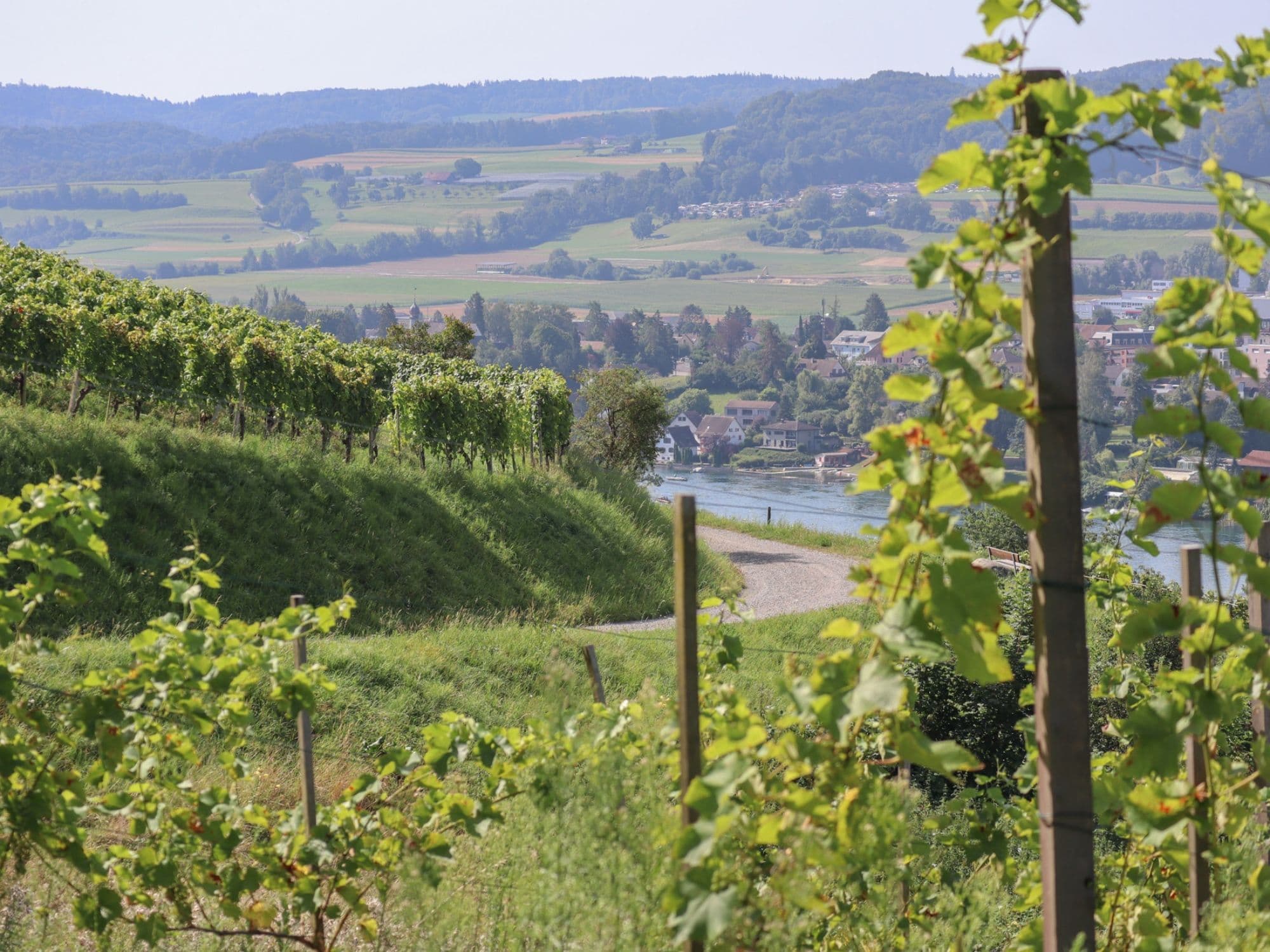 Self-guided wine hike Stein am Rhein