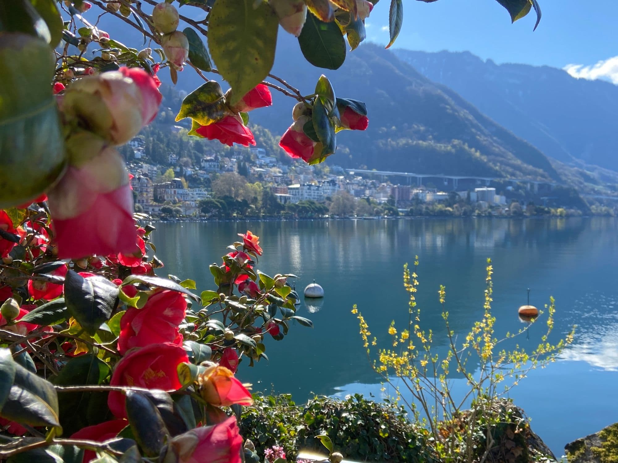 Private city tour with train ride to Rochers-de-Naye from Montreux