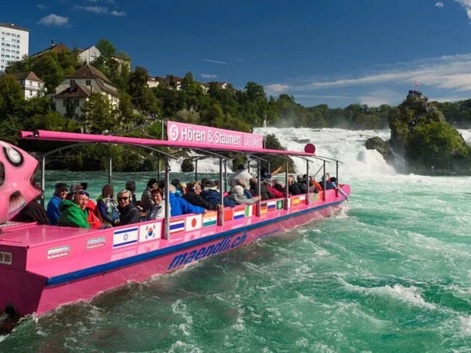 Zurich Private Tour: Rhine Falls and Stein am Rhein