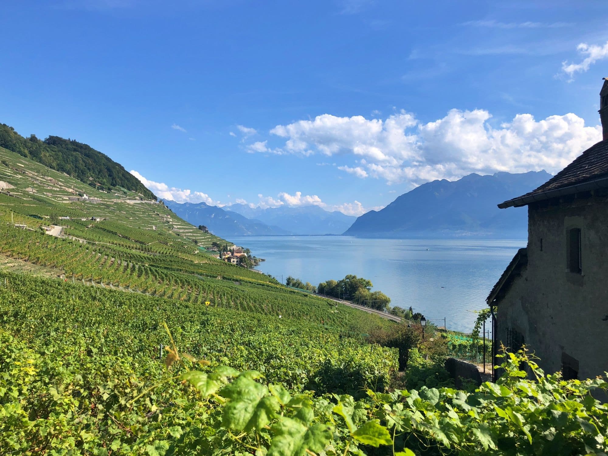 Train ticket between Lausanne and Montreux