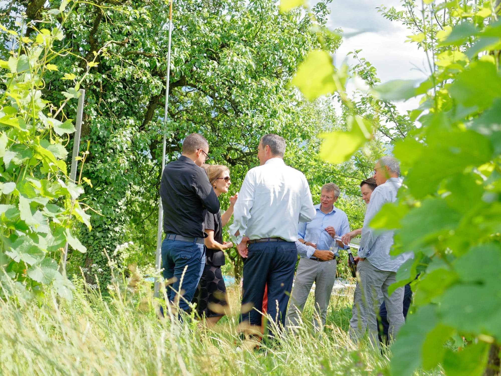 Wine tour and dinner for groups