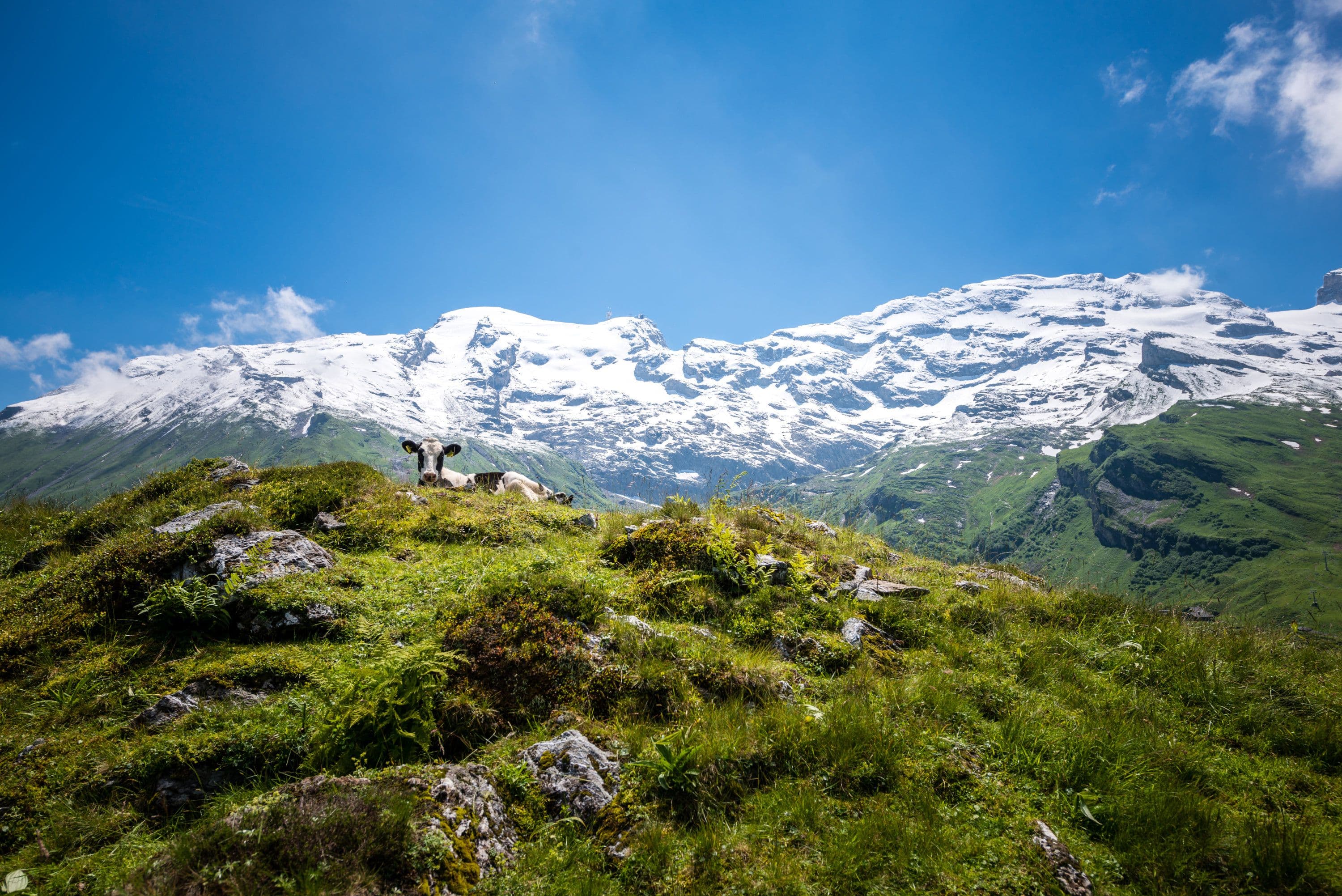 Glacier adventure on the Titlis