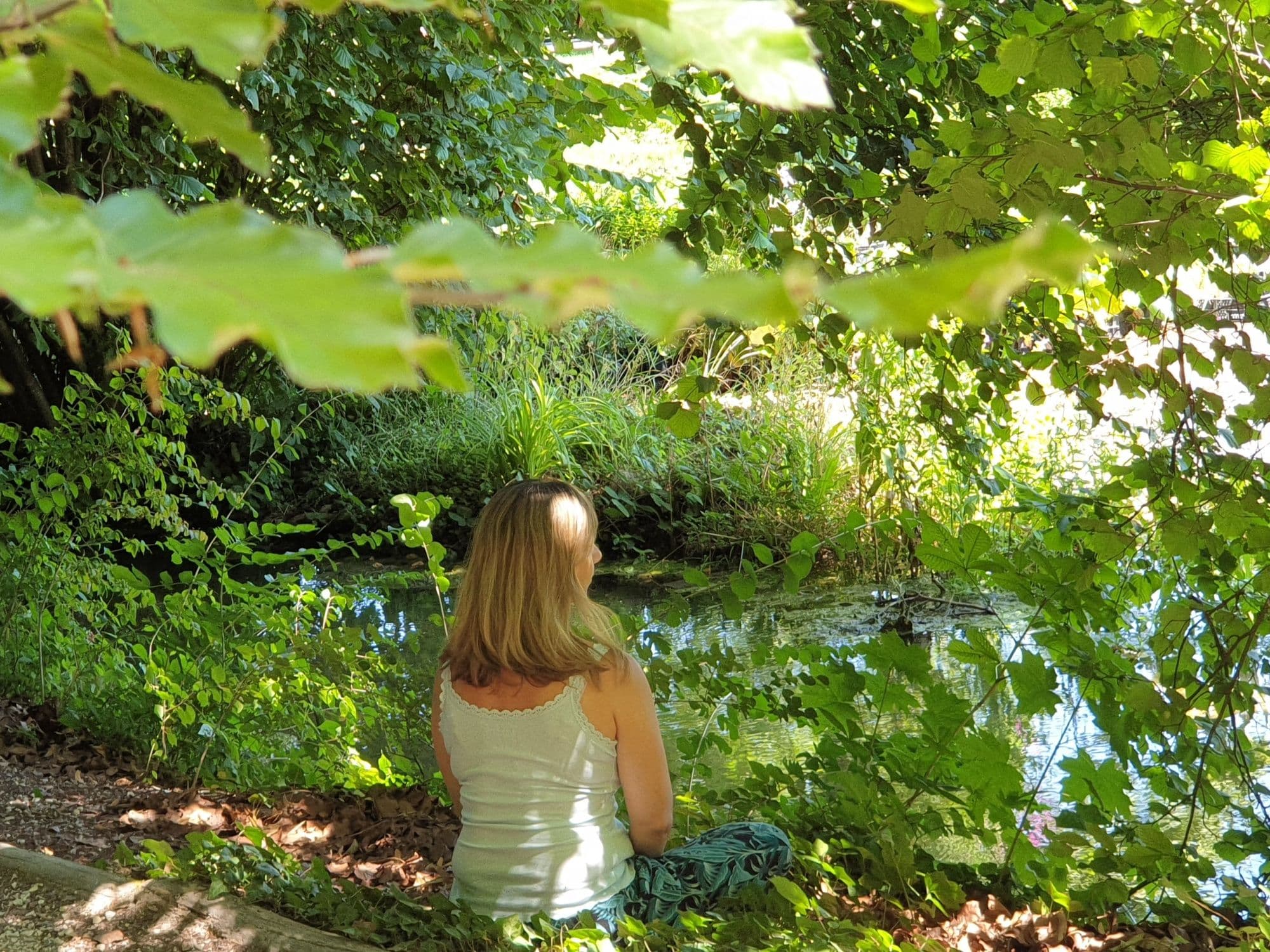 Forest Wellness in Basel