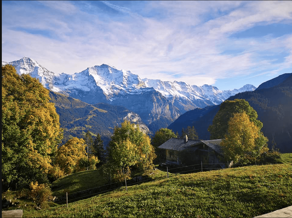 Bernese Oberland private bus tour from Lucerne