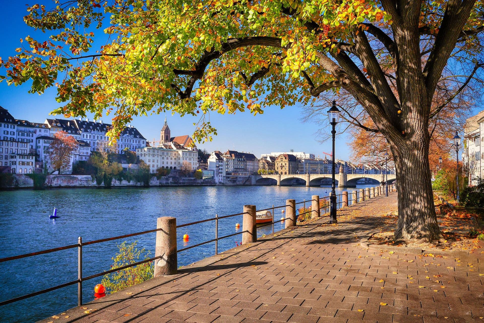 From Geneva or Geneva Airport: Transfer to Basel, Bern, Lucerne or Zurich