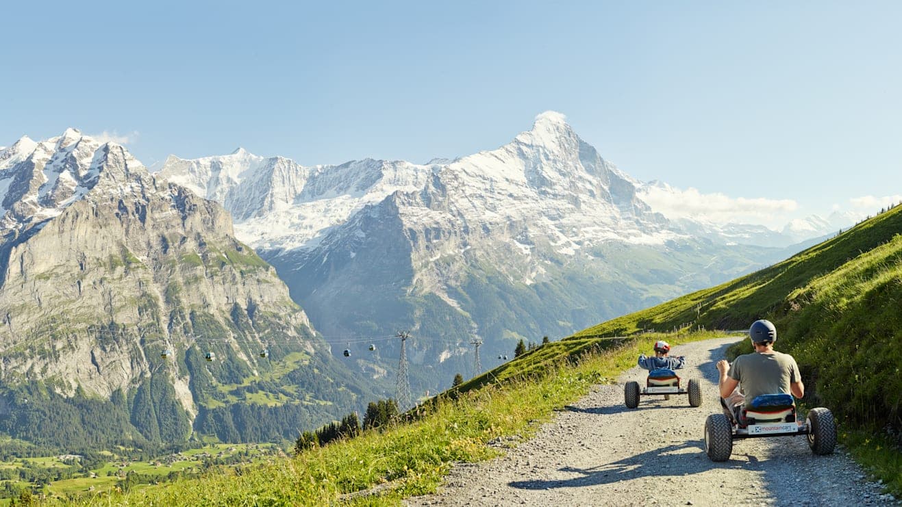 Ticket Firstbahn to Grindelwald First - Top of Adventure 5