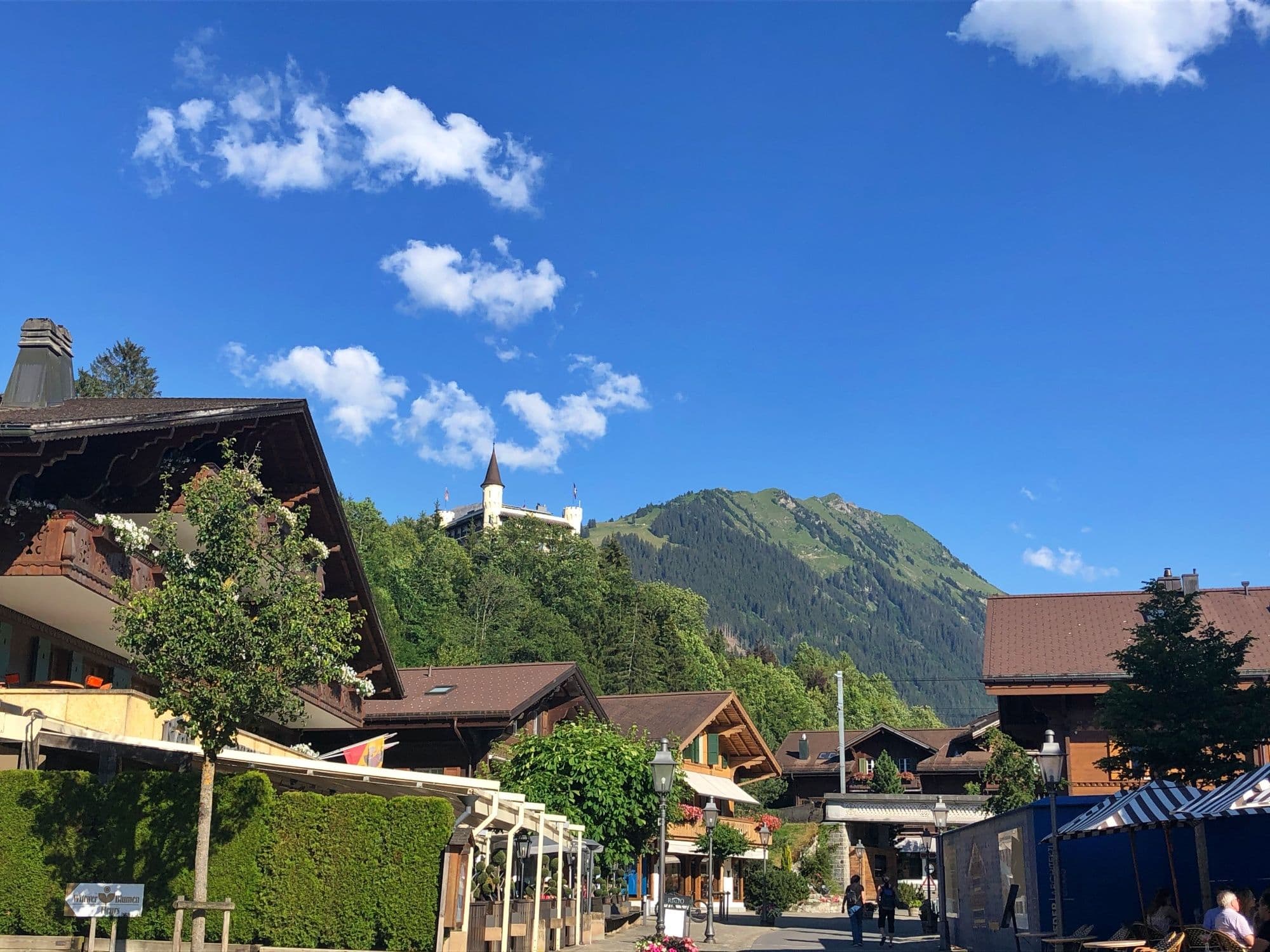 From Geneva airport: private transfer to Gstaad