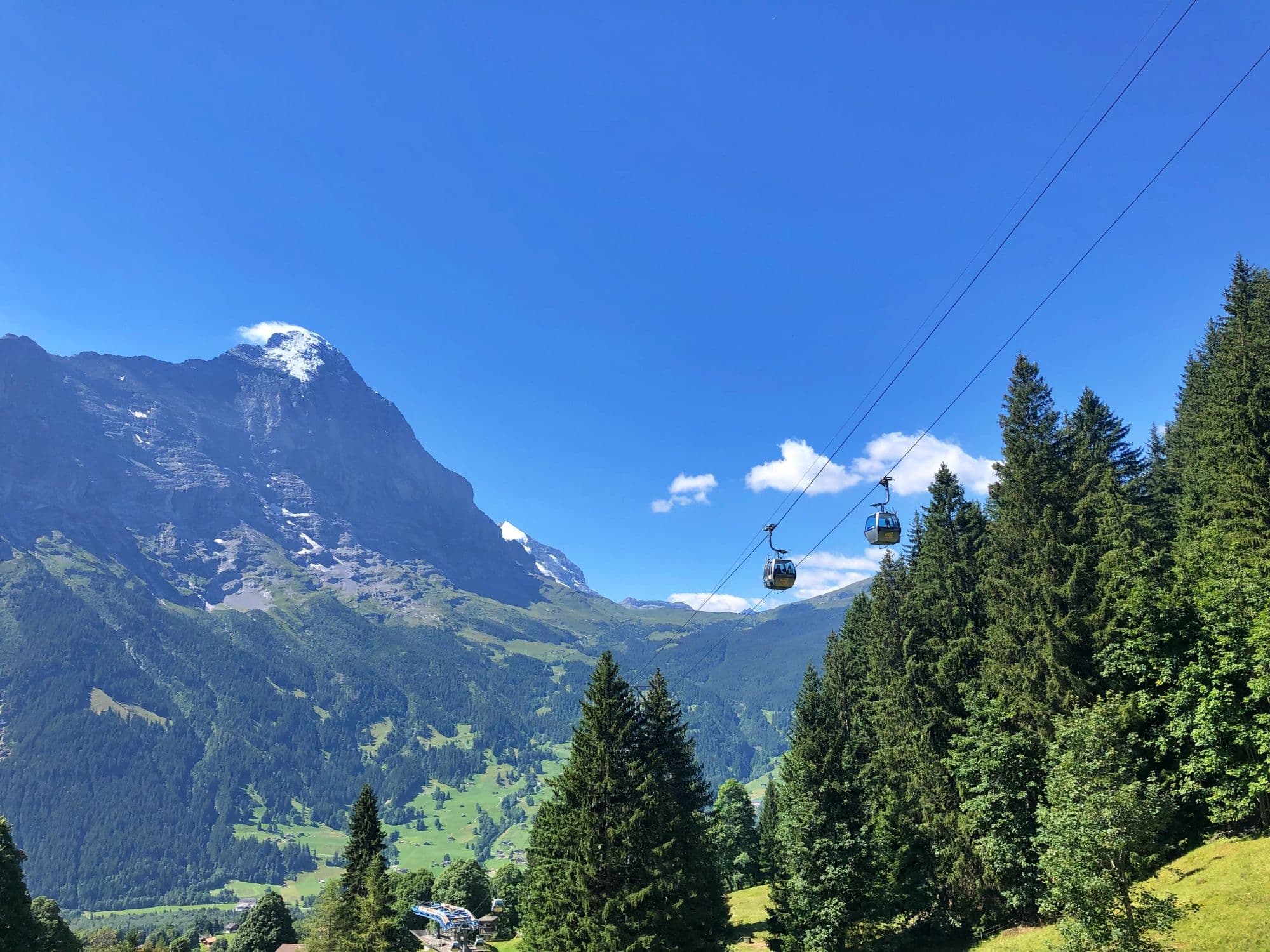Hiking ticket Grindelwald - Schreckfeld with the Firstbahn