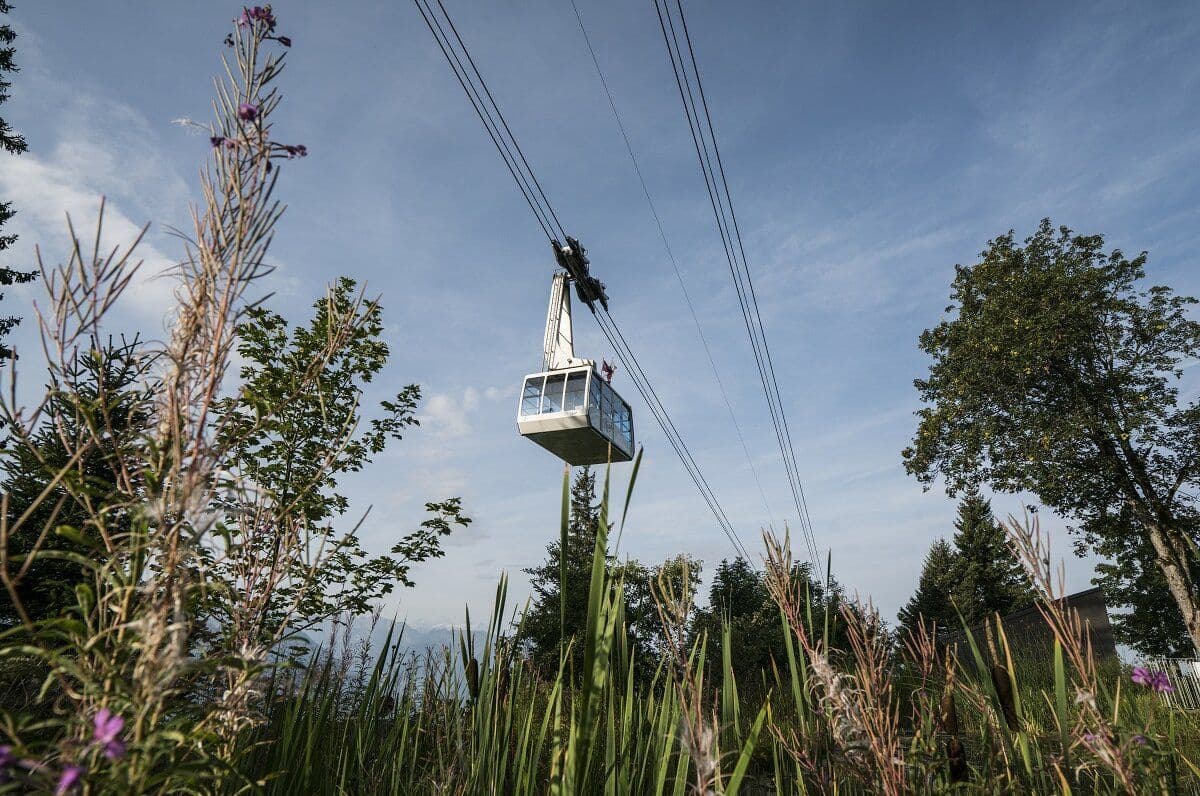From Zurich: Day trip to the Rigi