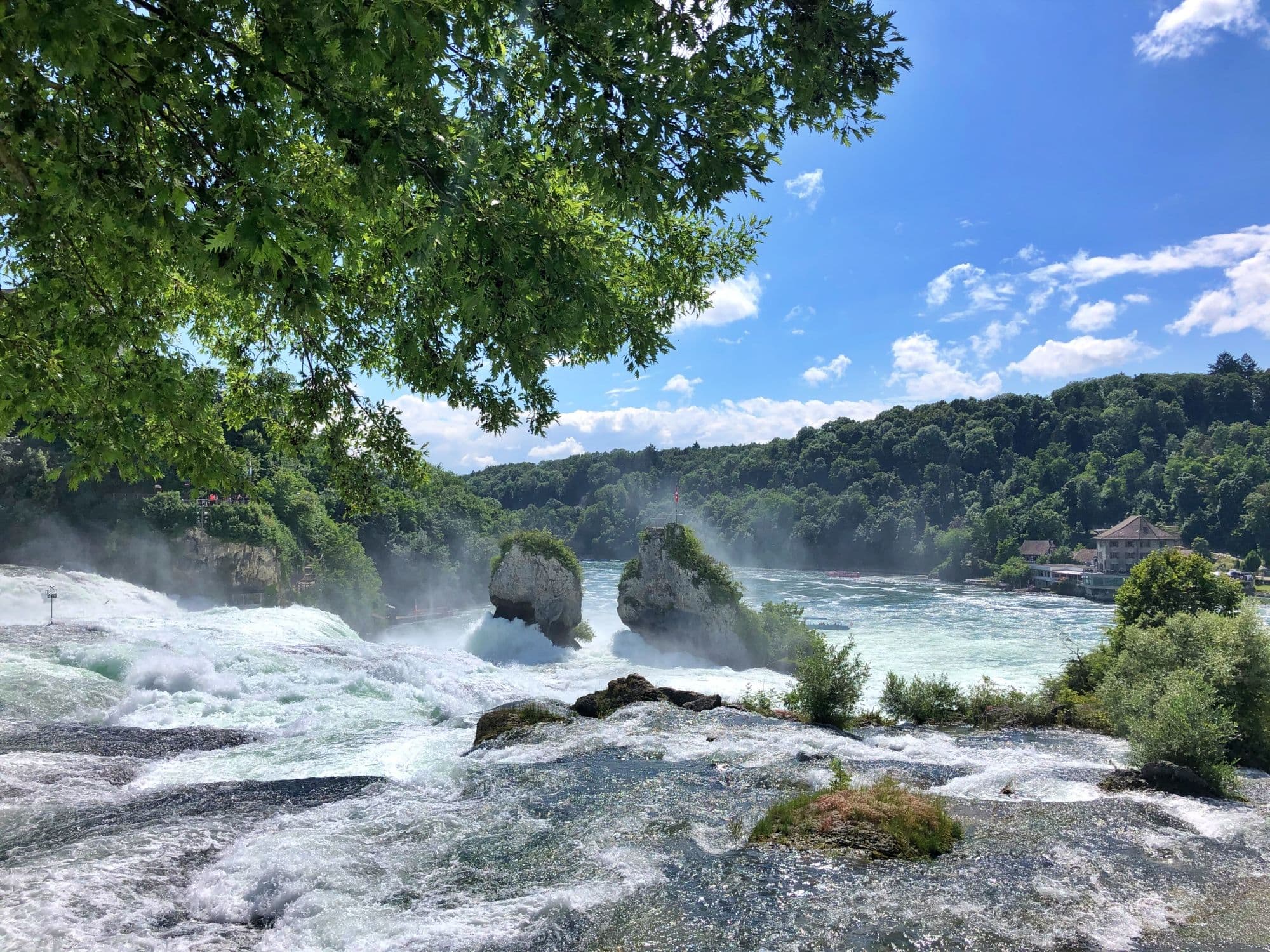 From Zurich: Bus tour to the Rhine Falls half day