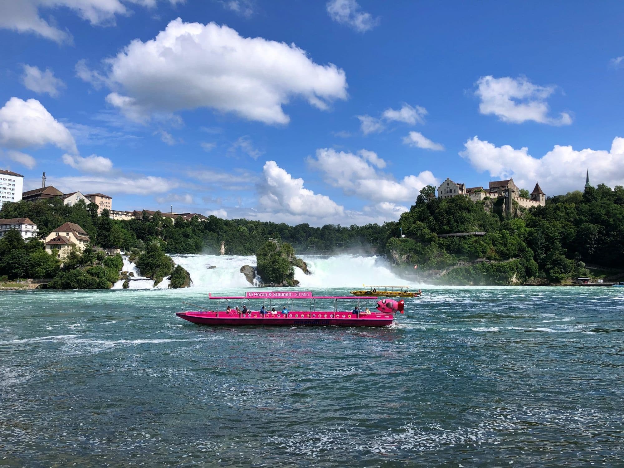 From Zurich: Half day bus tour to Rhine Falls and Stein am Rhein