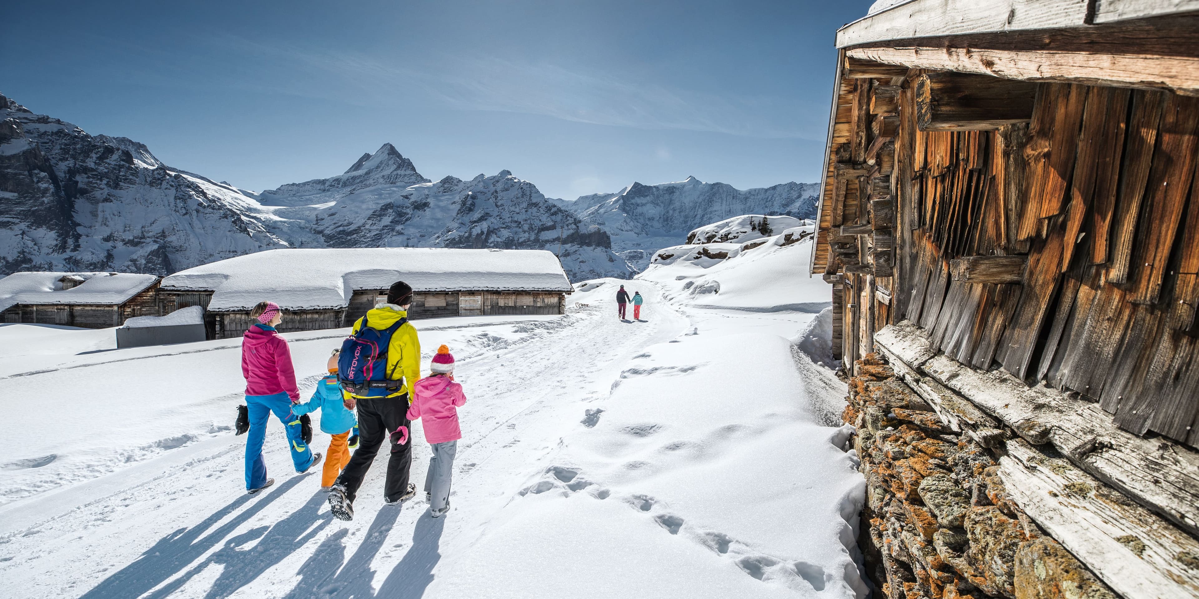 Ticket Firstbahn to Grindelwald First - Top of Adventure 13