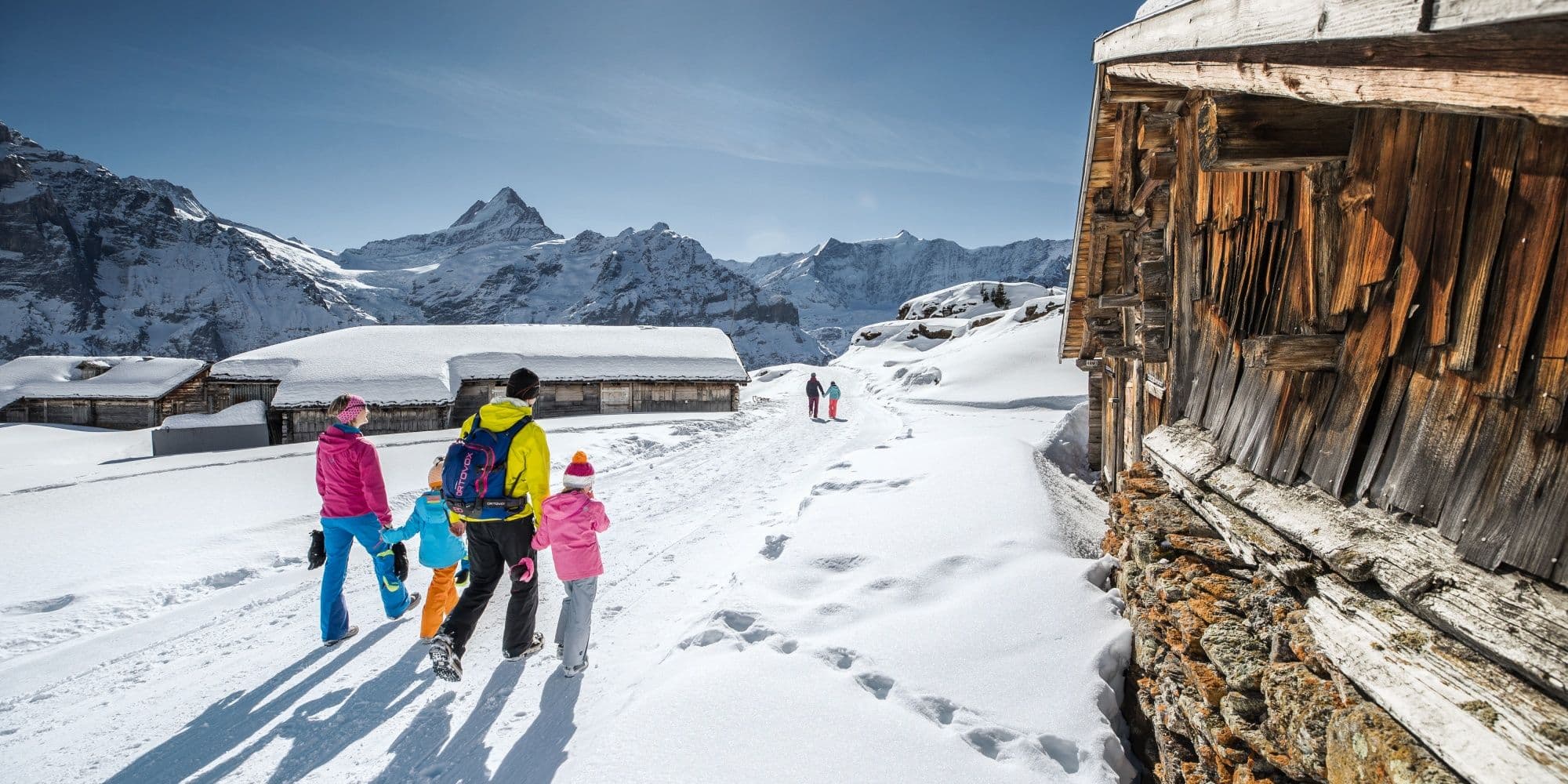 Jungfrau Travel Pass Winter - 3 to 8 Days
