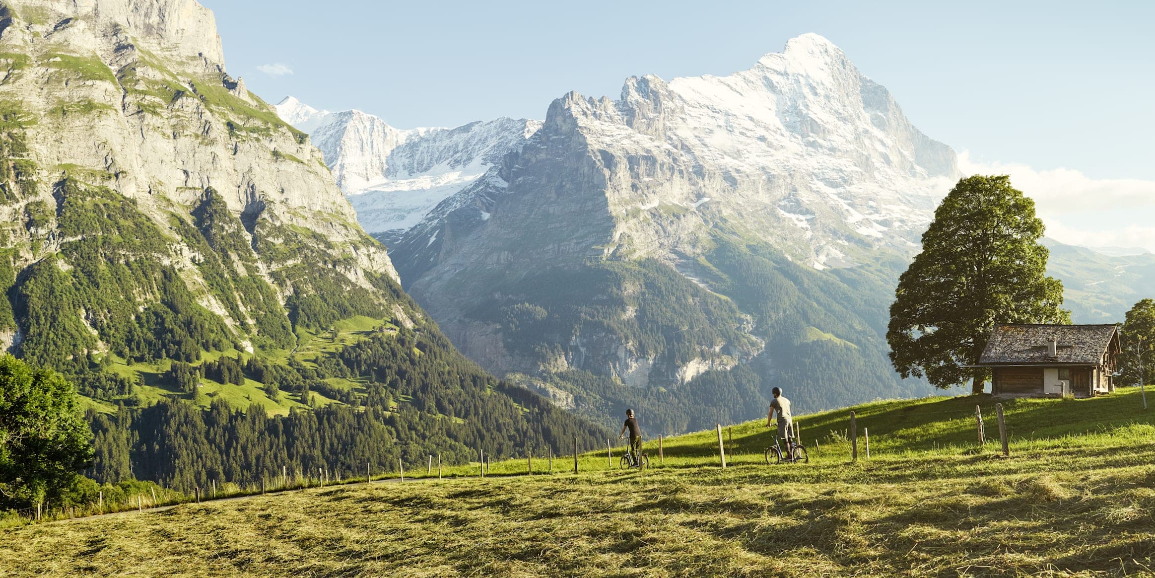 Ticket Firstbahn to Grindelwald First - Top of Adventure 10