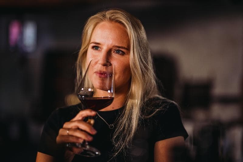 Guided tour and tasting at Davaz winery
