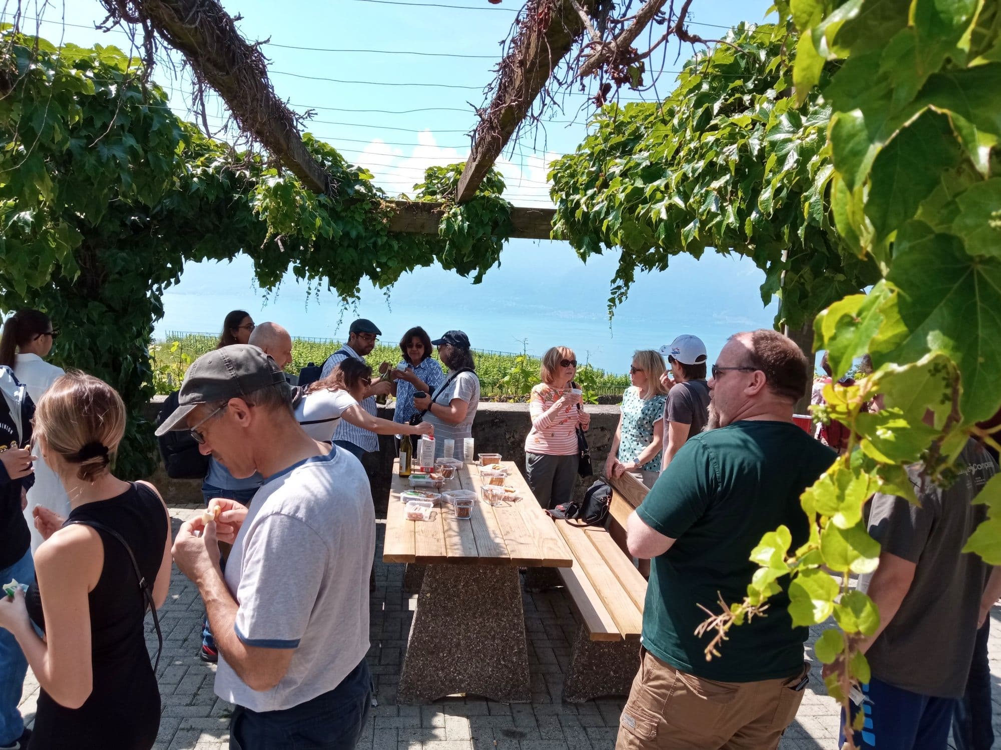 From Geneva: Day trip wine tour and Chillon Castle