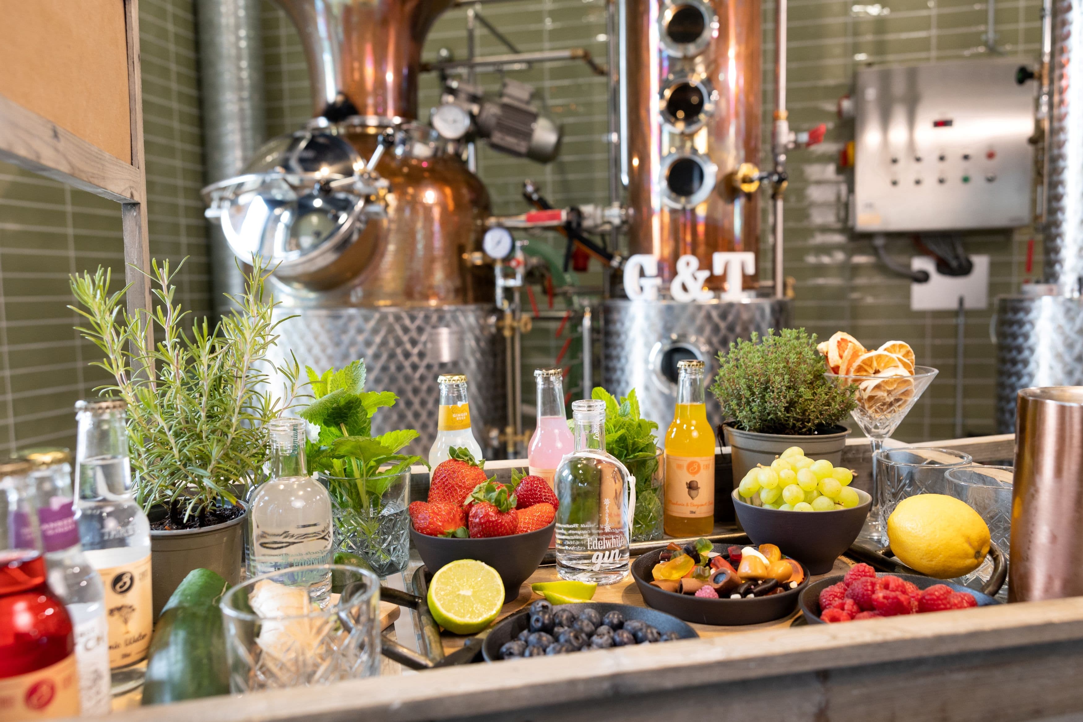 Edelwhite Gin Distillery: tour and own gin and tonic creation