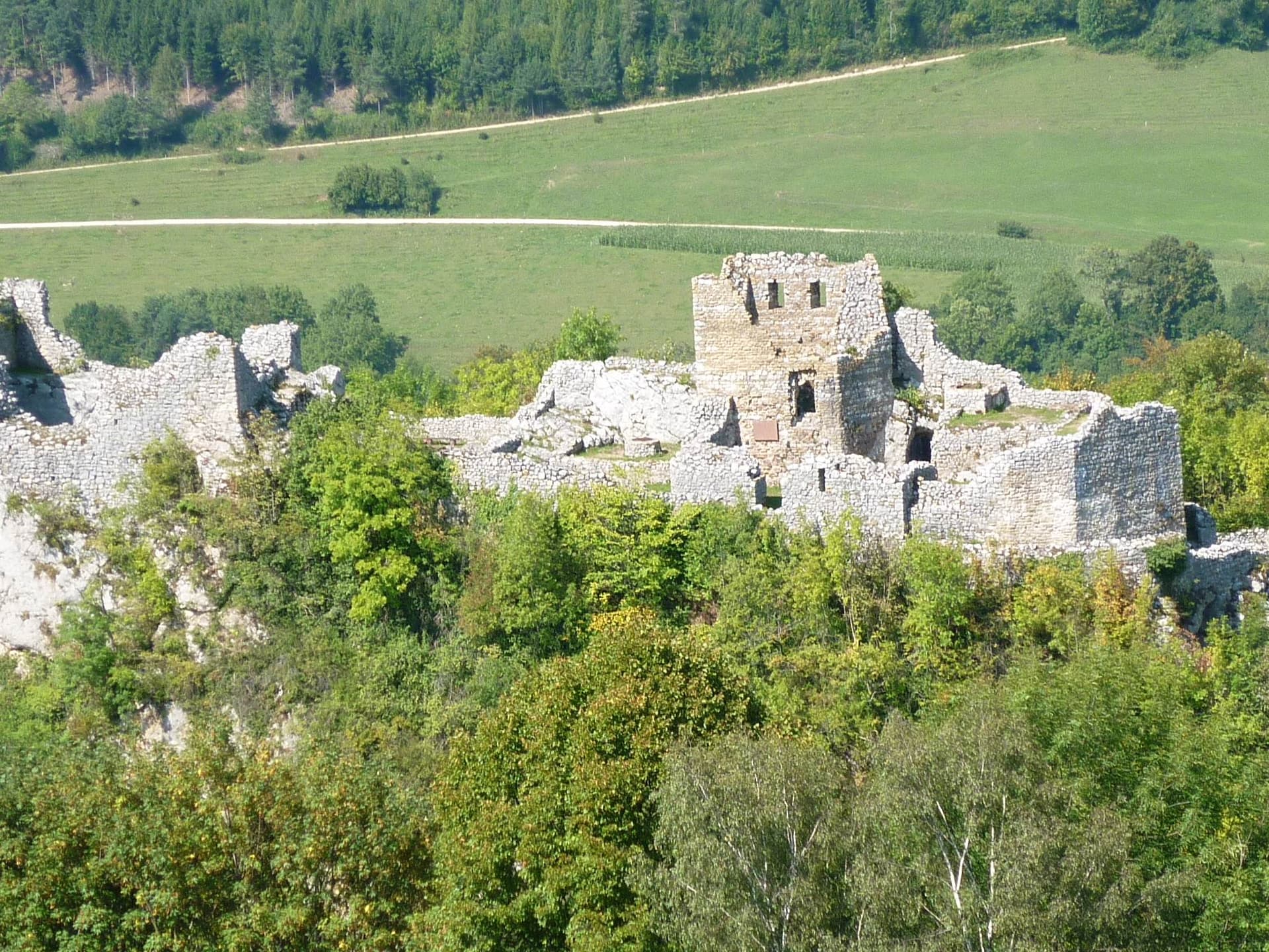 Alt-Bechburg Ruins